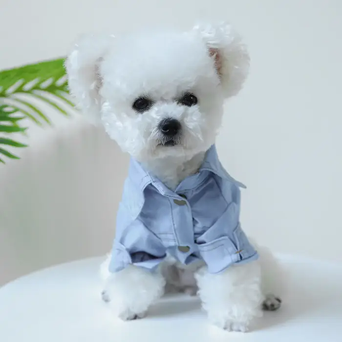 Nouveau Ins chien Denim vêtements peuvent tirer chat revers Denim chemise concepteur chien vêtements