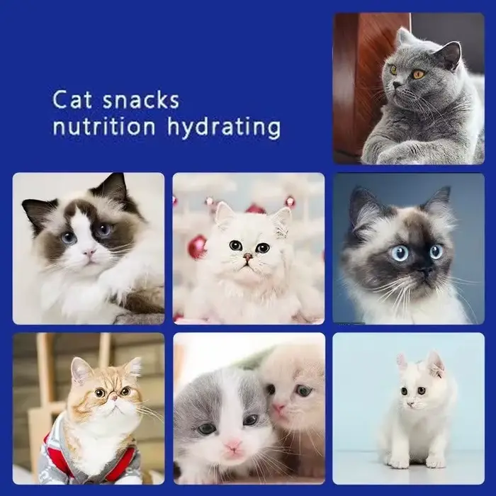 Snacks pour animaux de compagnie bandes pour chat jeune