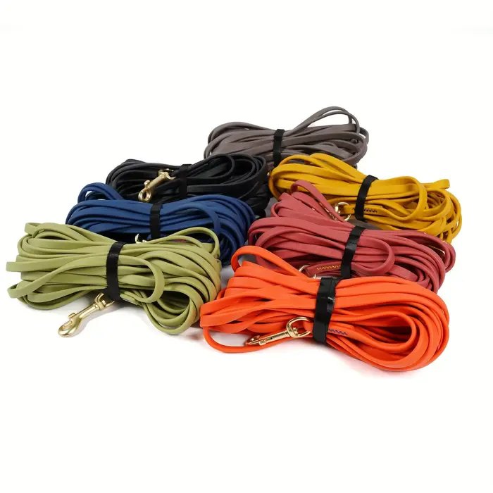 Laisse pour chien 5 pieds