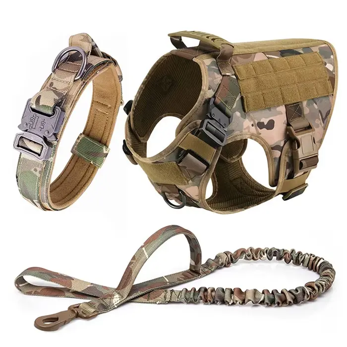 Grand collier de transport pour chien