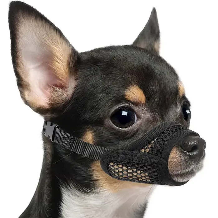 Muselière en maille pour museau court et petits chiens moyens, Anti-morsure, concentré sur les chien