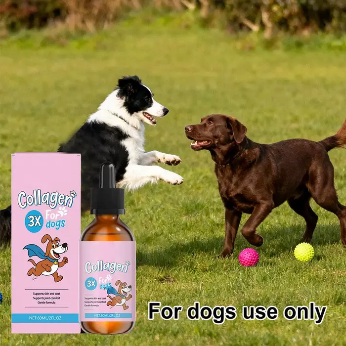 Gouttes de collagène pour chiens