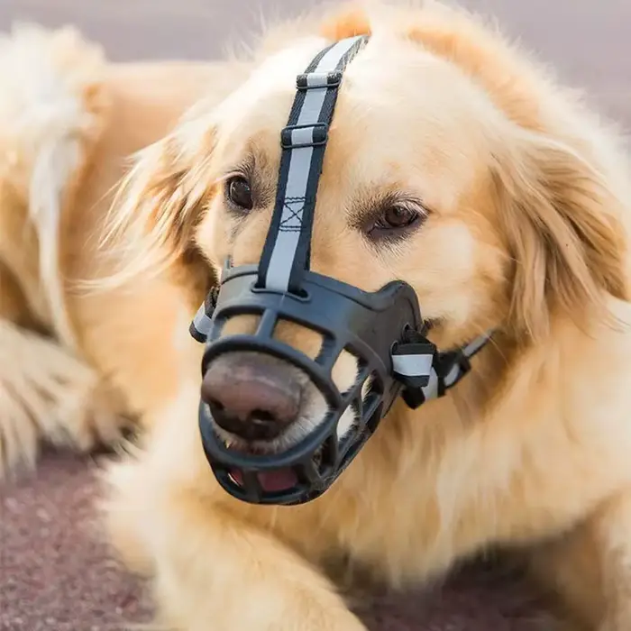 Panier confortable et respirant pour chien, protection contre les morsures et les aboiements, masque