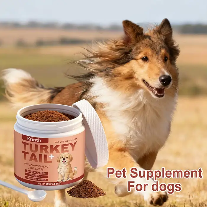 Complément alimentaire pour soutenir l'immunité des chiens – Défense immunitaire quotidienne, favori