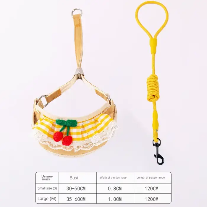 Laisse SFP mignonne pour petit chien et chat, fournitures pour animaux de compagnie, Teddy