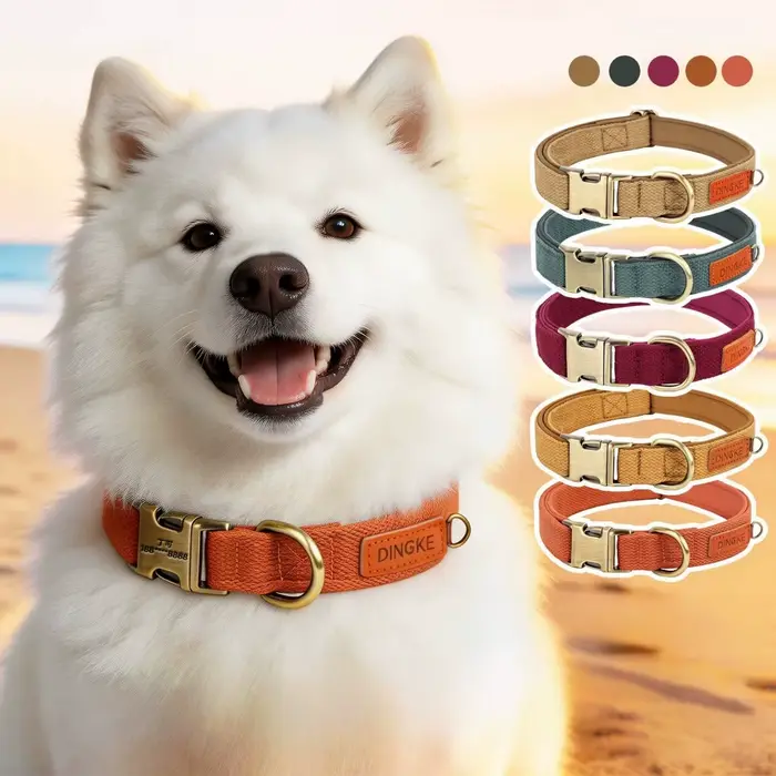 Collier personnalisé pour chien en nylon