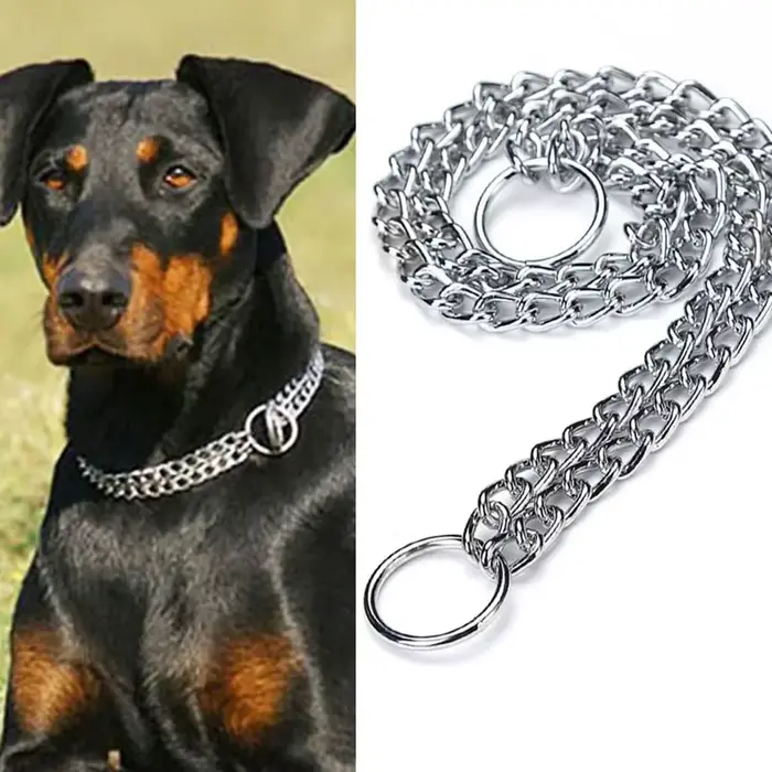 Collier de starter pour chien à chaîne P antidérapante