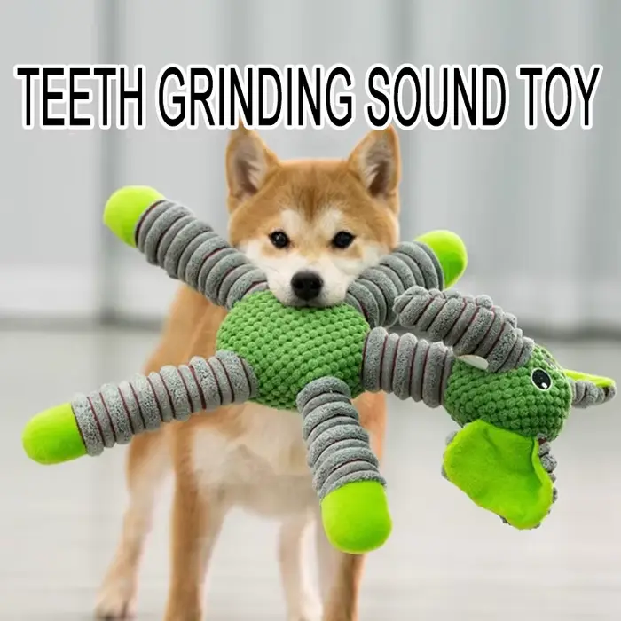 Jouet en peluche pour chien
