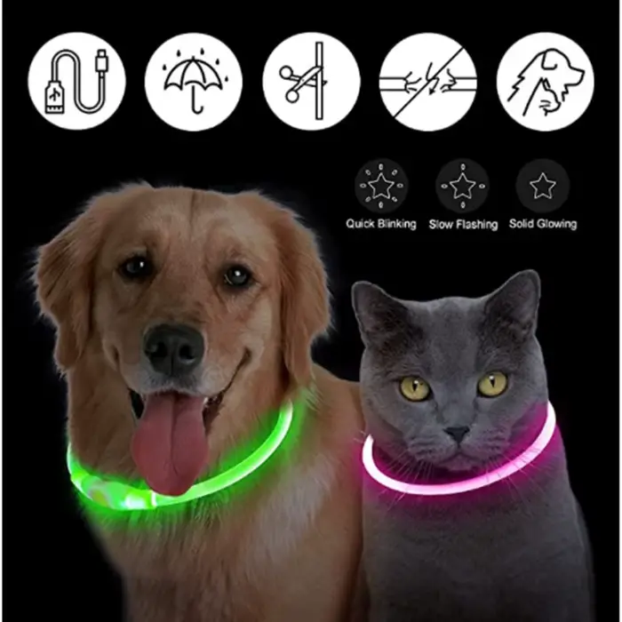 Collier lumineux LED USB pour chien, collier lumineux clignotant DIY, accessoires de sécurité anti-p