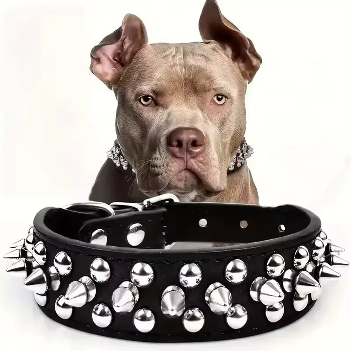 Collier pour chien réglable en cuir PU