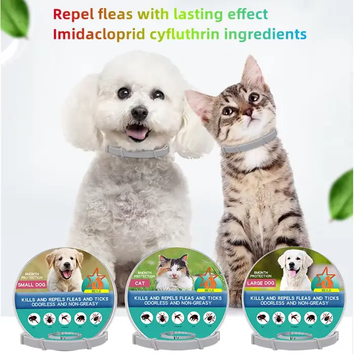 Collier Anti-puces et tiques pour chien et chat, Protection rétractable de 8 mois, pour chiot, chat,