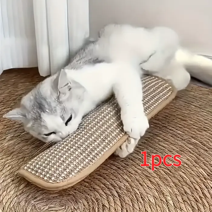 Coussin de jeu et griffoir pour chat pour le jeu individuel et l'interaction intime, pour garder vot