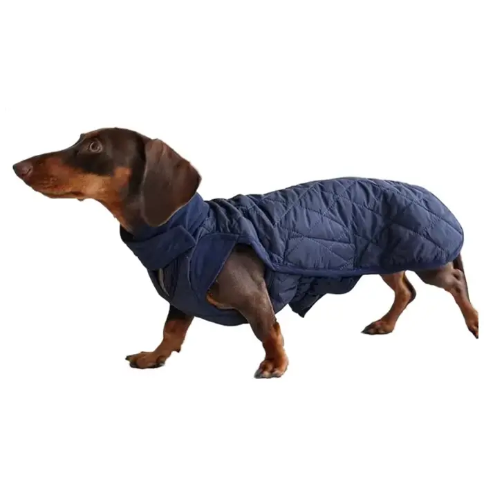 Manteau chaud d'hiver teckel