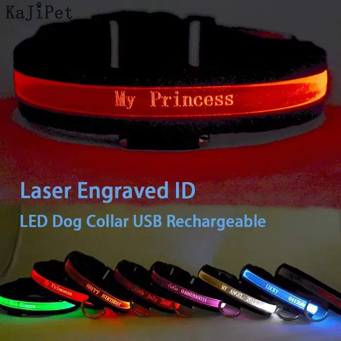 ID gravé LED collier de chien lumineux USB étiquette de chien personnalisée collier de chien de comp