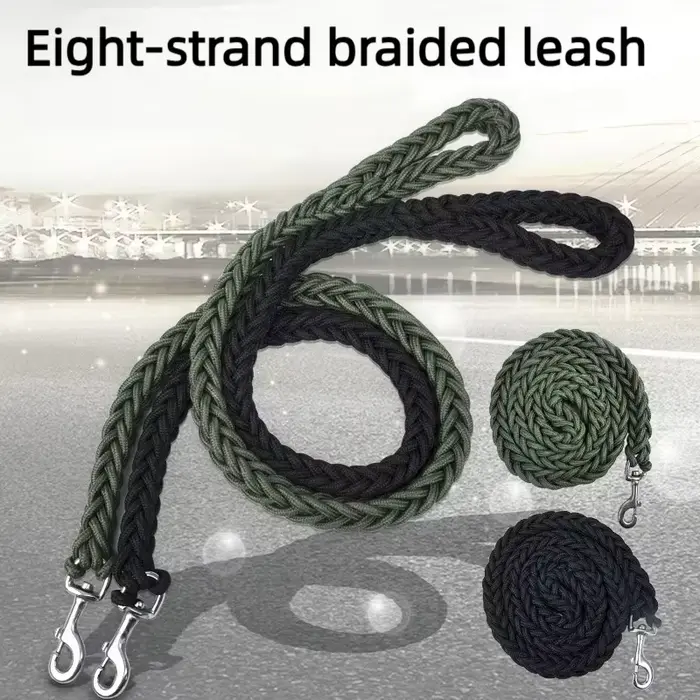 Laisse pour chien robuste et durable