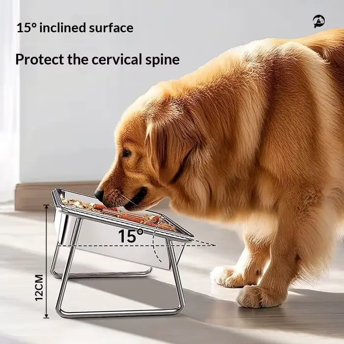 Bol pour chien en acier inoxydable grande capacité 15 ° Bol incliné avec protection de cou surélevée