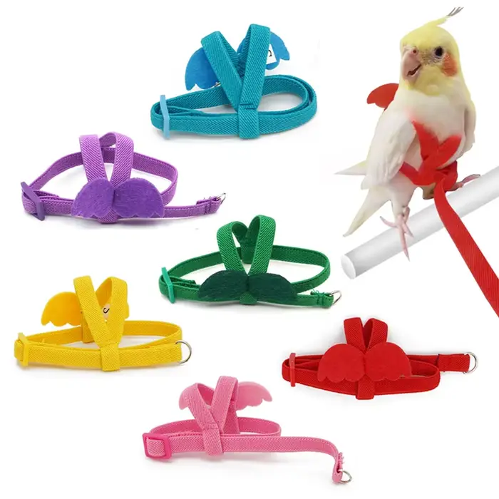 Harnais à câble Long pour oiseaux, laisse Anti-morsure, corde d'entraînement décorative légère pour 