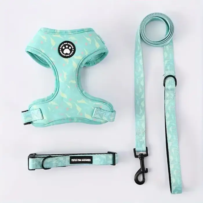 Fournitures pour animaux de compagnie pour chiens