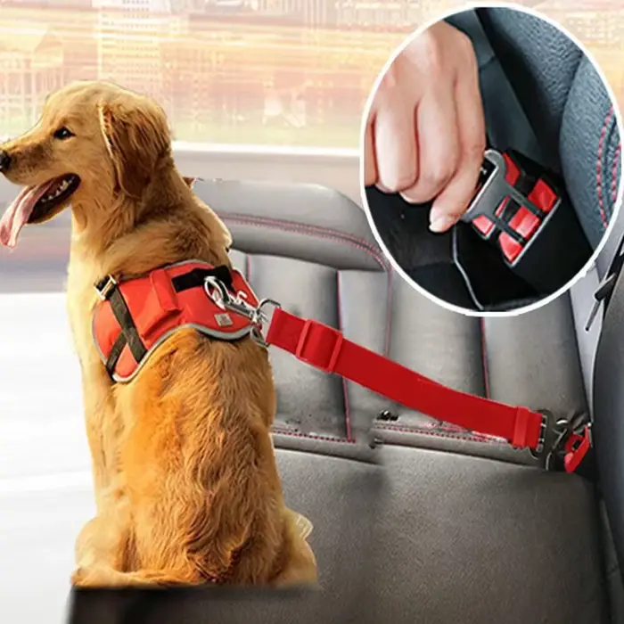 Accessoires réglables pour chiens