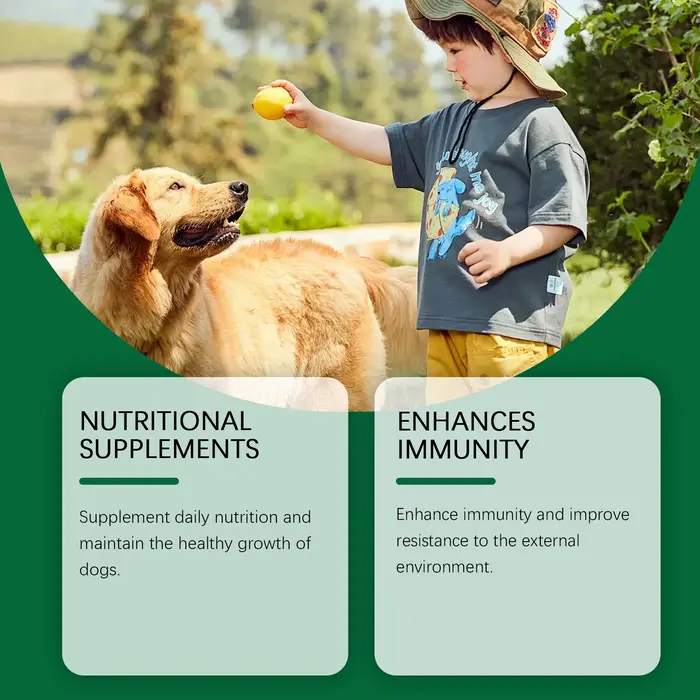Supplément multivitaminique stimulant l'immune pour chiens