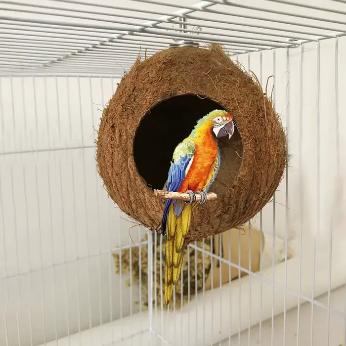 Nid en coquille de noix de coco pour animaux de compagnie, 1 pièce, perroquet, perche naturelle, pet