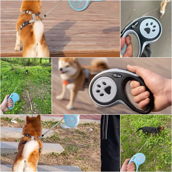 Laisse pour chien patte de 3m 5m