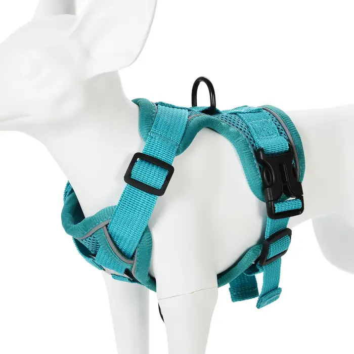 Ensemble harnais et laisse, accessoires pour animaux de compagnie, harnais pour petit chien, bouledo