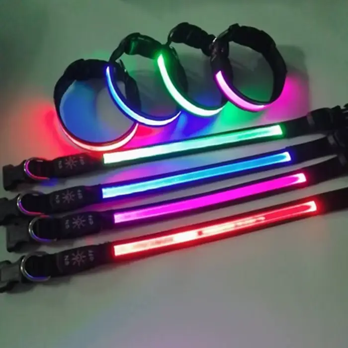 Collier lumineux LED pour chien, réglable, clignotant, rechargeable par USB, collier lumineux pour l