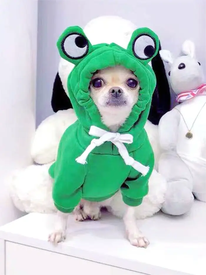 Pull grenouille mignon pour animaux de compagnie, petit et moyen chien, sweat à capuche vert avec de