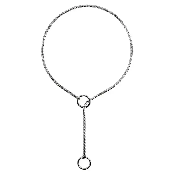 Collier ras du cou en acier inoxydable pour chiens, tour de cou pour chiots, salle en métal, spectac