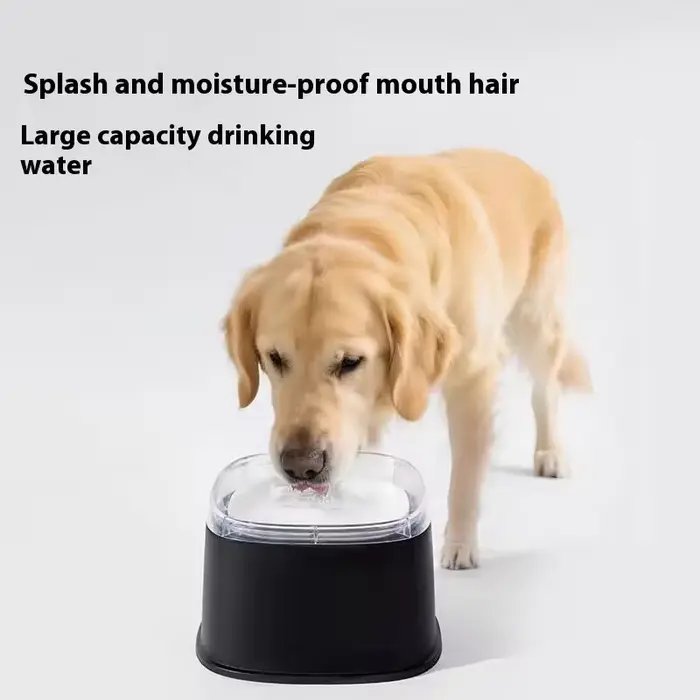 Bol d'eau flottant pour animaux de compagnie