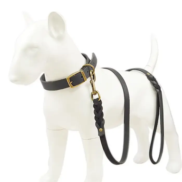 Laisse pour chien tressée en cuir véritable marron noir Laisses pour chiens robustes avec fermoir rotatif pour grands