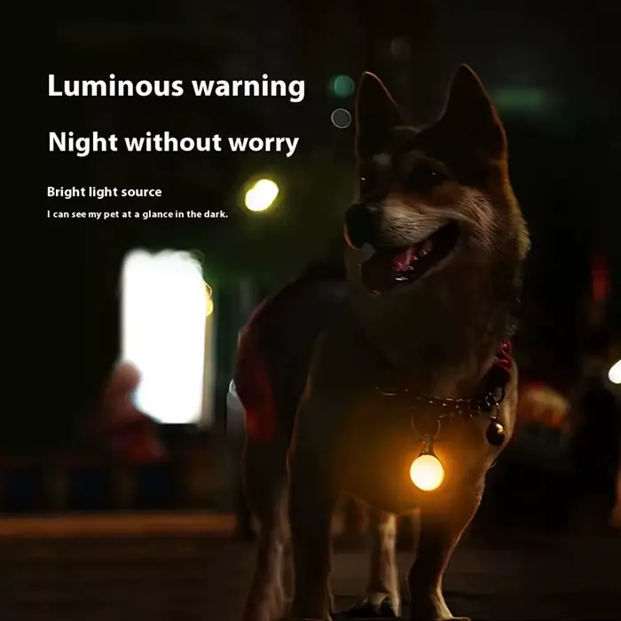 Collier lumineux LED pour chien et chat