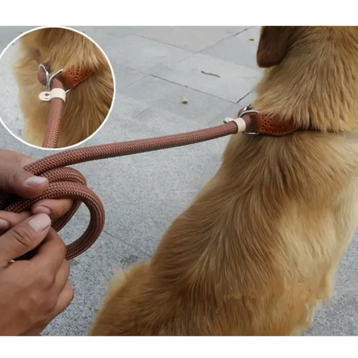 Collier d'entraînement pour chien anti-émeute en nylon main P corde étendue épaissie incassable