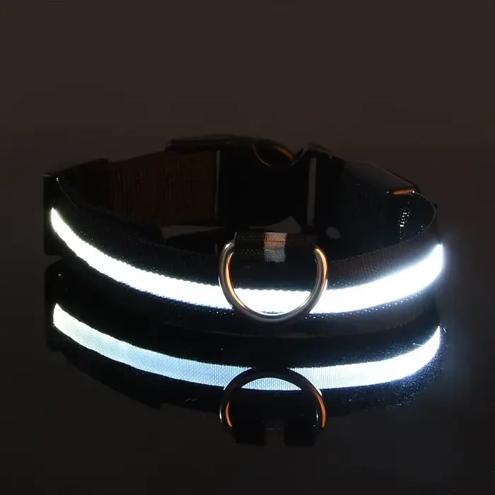 Collier pour chien en Nylon LED sécurité nocturne clignotant lueur dans la nuit laisse pour chien de