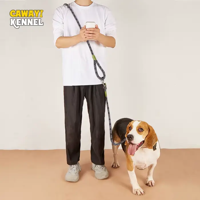 Laisses réfléchissantes en Nylon, chaîne pour chien de compagnie, corde de Traction pour courir, mai