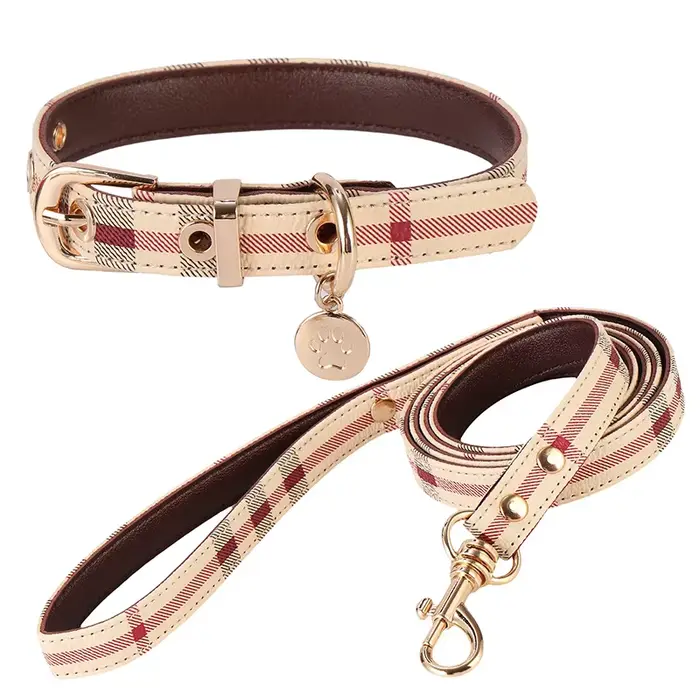 Ensemble de collier pour animaux de compagnie tendance, collier et laisse en cuir pour petit chien, 
