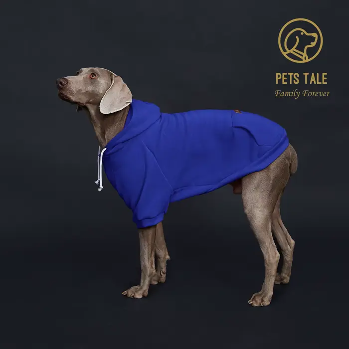Sweat à capuche pour chien de couleur unie avec poche, patch en cuir, collier à fermeture à crochet 