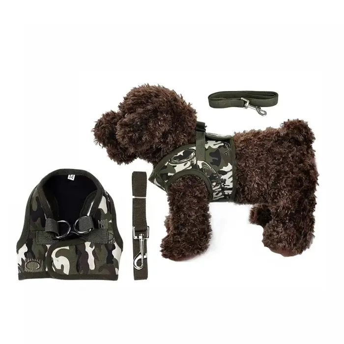 Harnais pour chien, ensemble de laisse