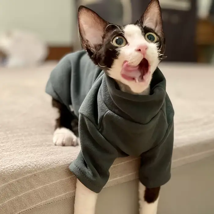 Sphynx chat vêtements bébé coton doux automne hiver chaton petit chien vêtements pour Cornish Devon 