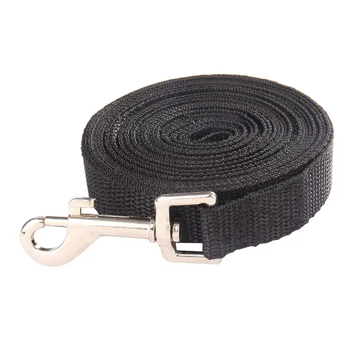 Longue laisse pour chien, pour petits et grands chiens, chats, en nylon résistant, corde de traction