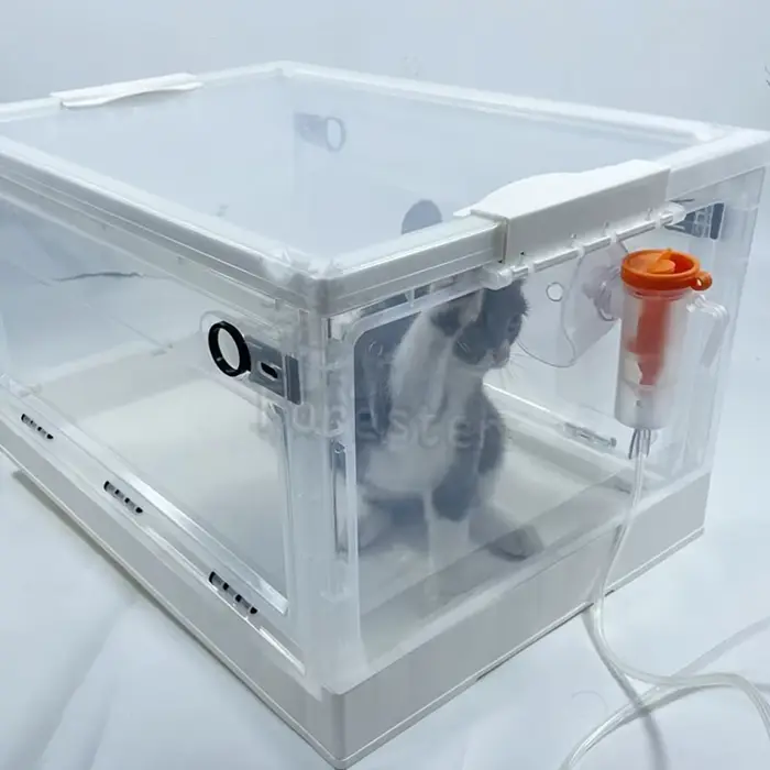 Boîte d'atomisation pour animaux de compagnie, salle d'oxygène pliable, facile à transporter, boîte 