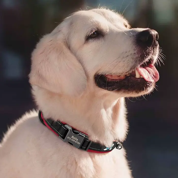 Collier de chien personnalisé colliers de chiens réfléchissants gravure gratuite