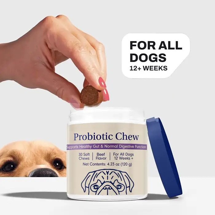 Probiotiques à Mâcher pour Chiens - Probiotiques pour la Santé Intestinale, Diarrhée Occasionnelle, Santé Digestive et Allergies Saisonnières, Saveur de Bœuf