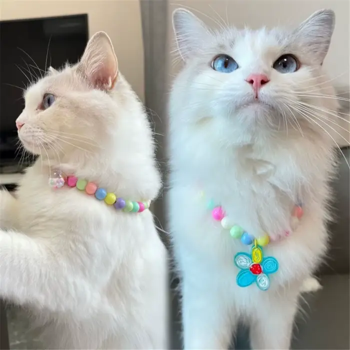 Collier de Perles en Forme de Cœur pour Chien et Chat, Bijou à la Mode, Réglable, Accessoires de Déc