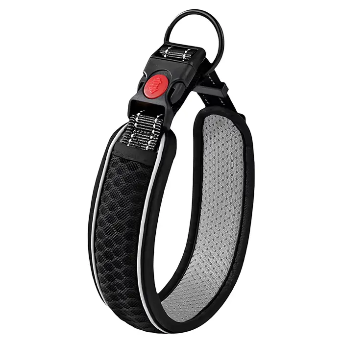 Collier pour chien, sangle de cou réglable pour la promenade, collier extérieur réfléchissant et dur