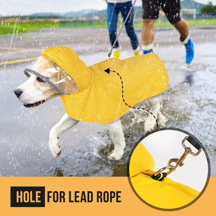 Manteau imperméable réfléchissant pour chien