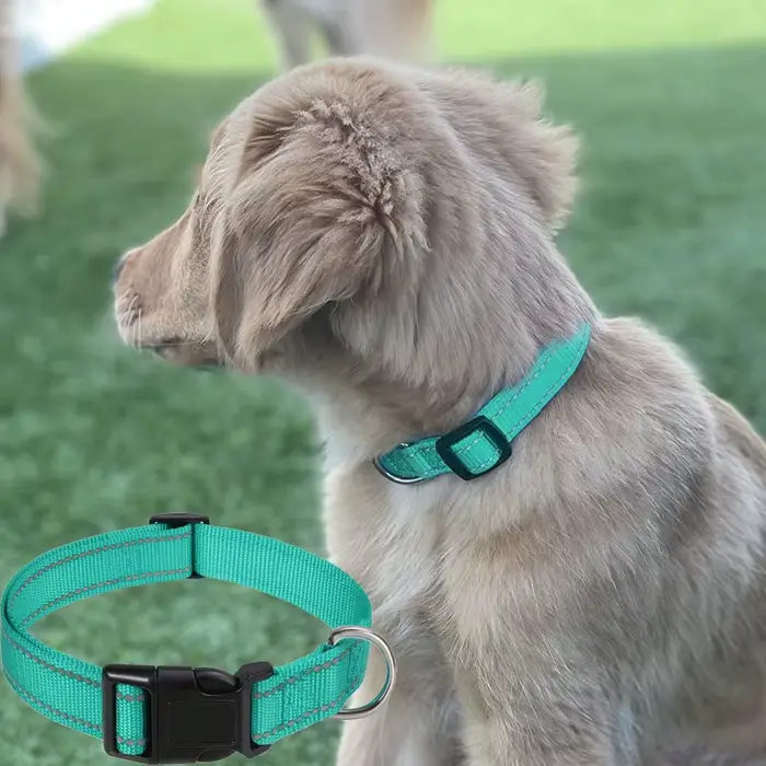 Collier en Nylon pour animaux de compagnie