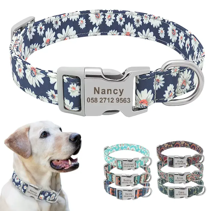 Collier de chien personnalisé personnalisé chien de compagnie identification nom étiquette accessoir