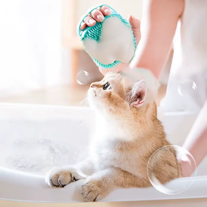 Brosse de bain en Silicone pour animaux de compagnie, brosse de nettoyage de Massage pour chat, bros